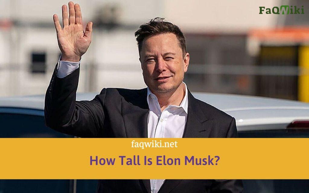How Tall Is Elon Musk?