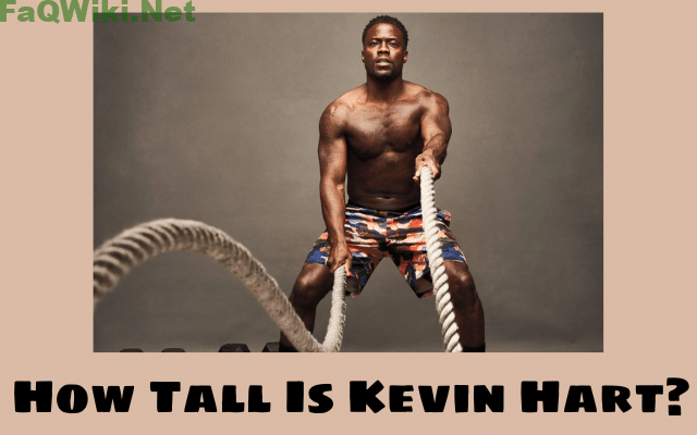 How Tall Is Kevin Hart?