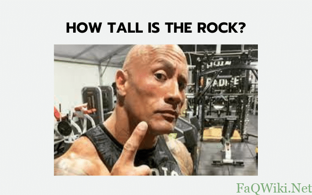 How Tall Is The Rock?
