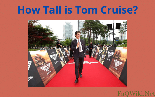 How Tall is Tom Cruise?