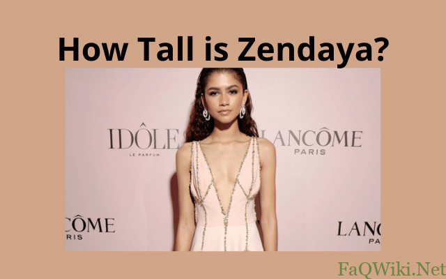 How Tall is Zendaya?