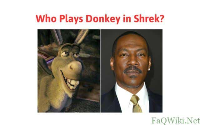who-plays-donkey-in-shrek