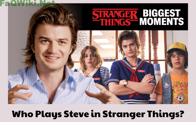 Who Plays Steve in Stranger Things