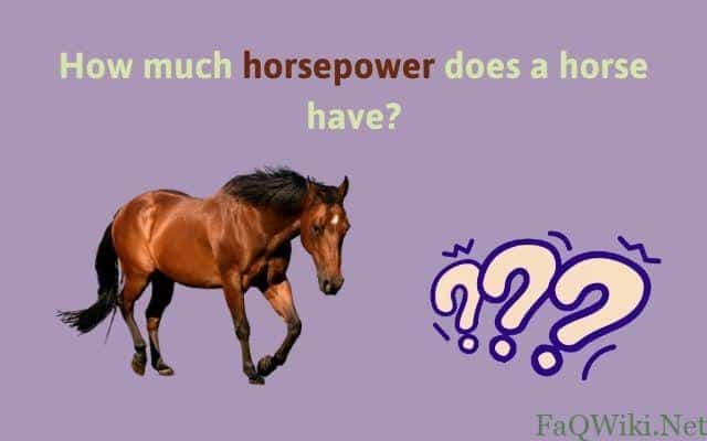 how-much-horsepower-does-a-horse-have-faqwiki