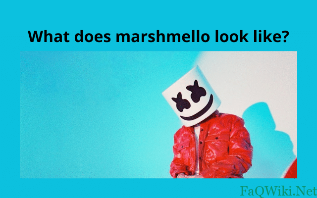 What does marshmello look like?