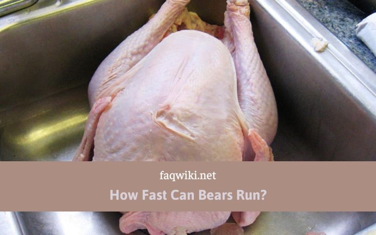 how-long-can-raw-chicken-sit-out