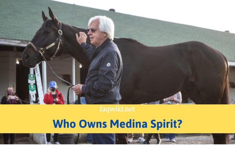 Who-Owns-Medina-Spirit-FaQWiki.net