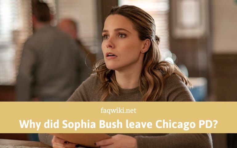 Why did Sophia Bush leave Chicago PD - FaQWiki