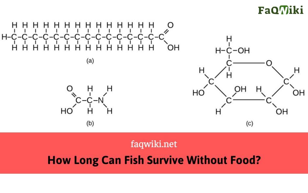 how many bonds can carbon form