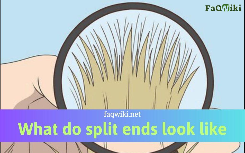 what do split ends look like?