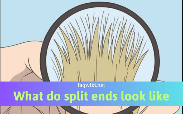 what do split ends look like?