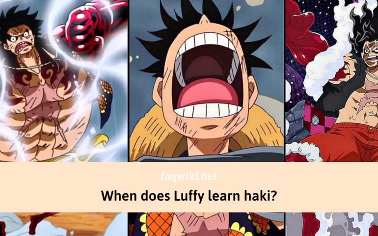 When-does-Luffy-learn-haki-faqwiki