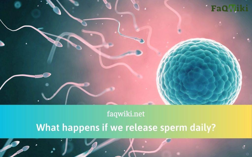 what-happens-if-we-release-sperm-daily?