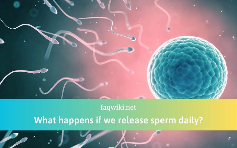 what-happens-if-we-release-sperm-daily